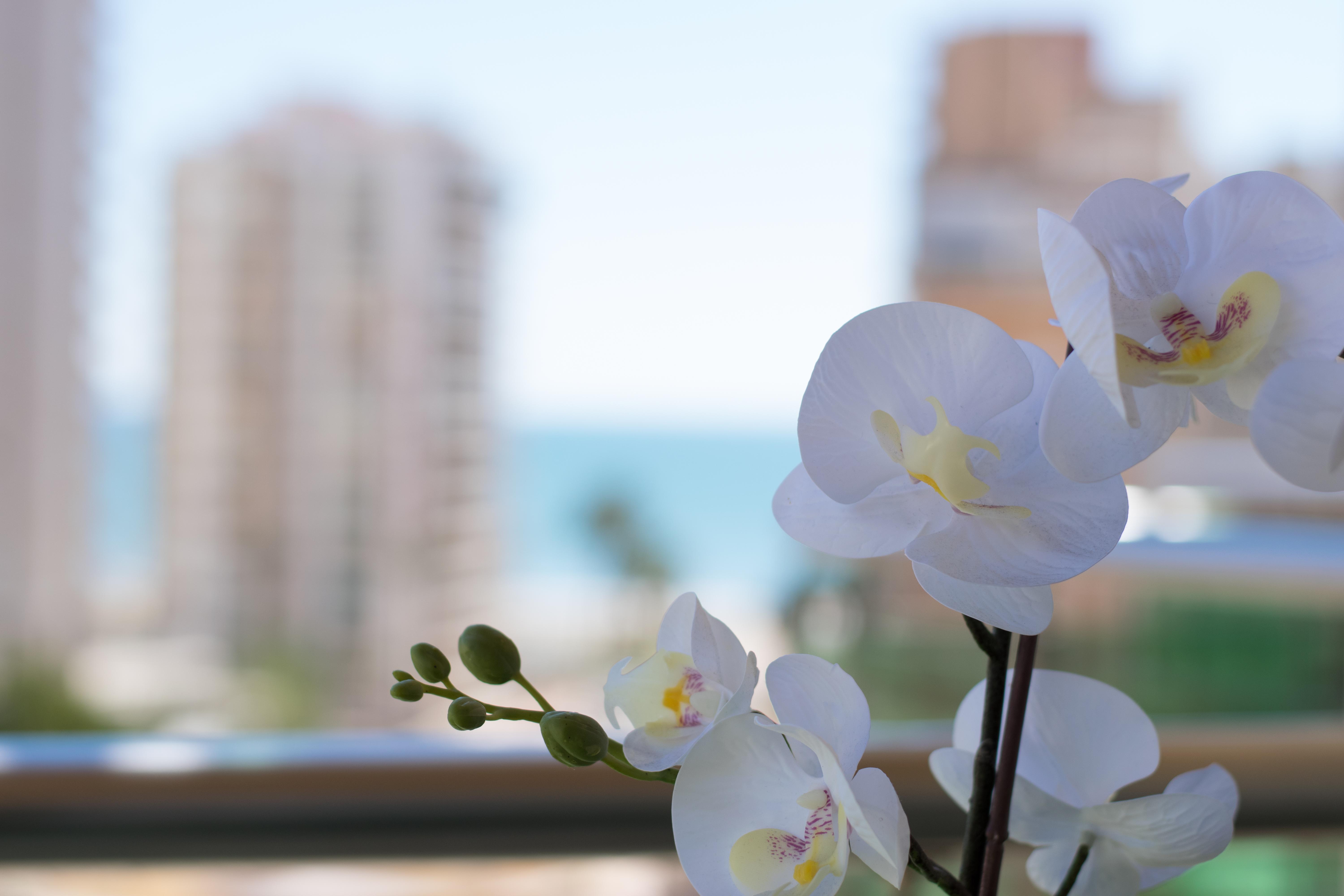 Cullera Holiday ภายนอก รูปภาพ